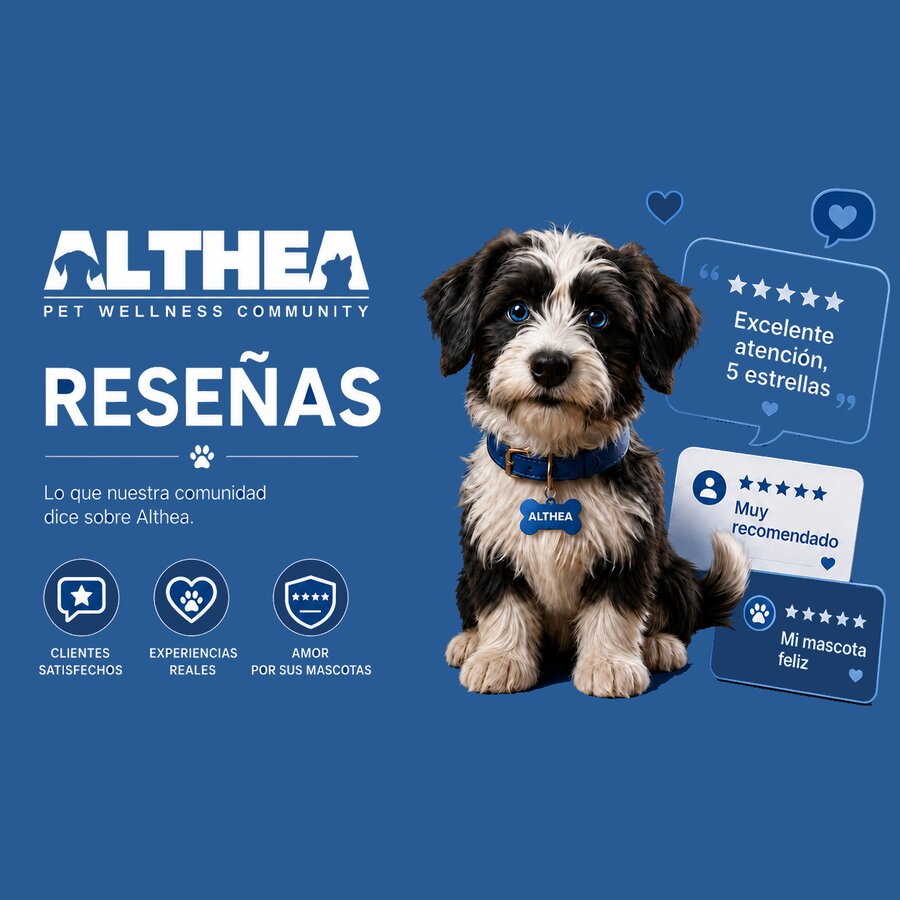 Althea reseñas
